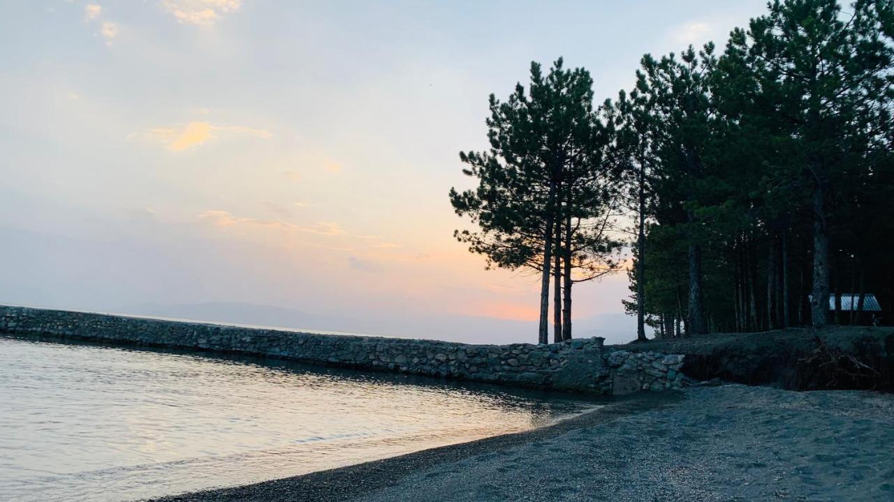 Zhayr Resort & Dive Drakhtik المظهر الخارجي الصورة